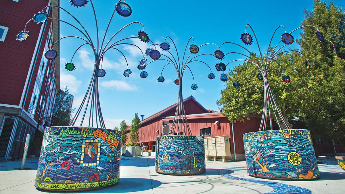 Santa Cruz County Arts Scene: More Than Just Creativity